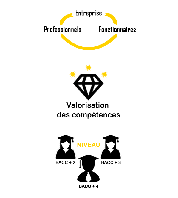 Programme continue IMSAA