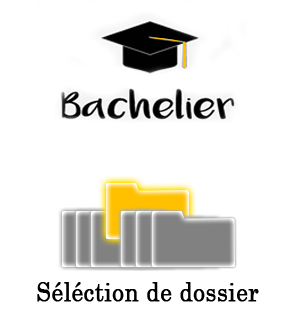 Programme Licence IMSAA